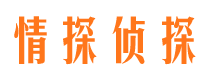 云阳寻人公司